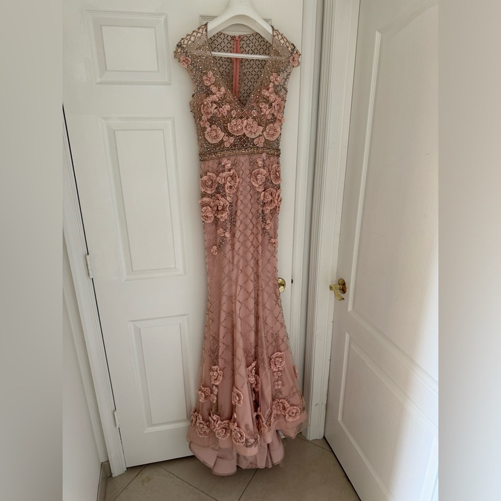 Terani evening gown